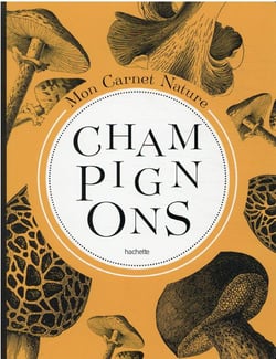 Carnet nature : champignons