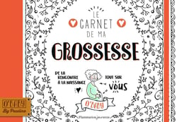 Le carnet de ma grossesse - de la rencontre à la naissance, tout sur vous