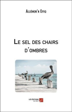 Le sel des chairs d'ombres