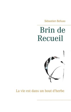Brin de recueil - la vie est dans un bout d'herbe