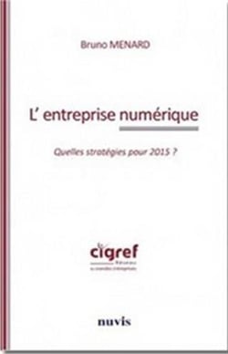 L'entreprise numérique - quelles stratégies pour 2015 ?