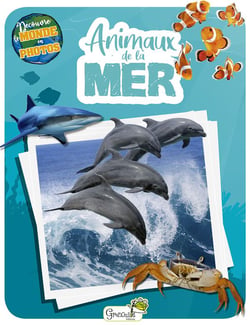 Découvre le monde en photos : animaux de la mer
