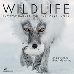 Wildlife photographer of the year 2017 - les plus belles photos de nature