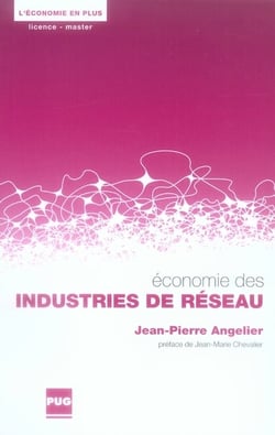Économie des industries de réseau