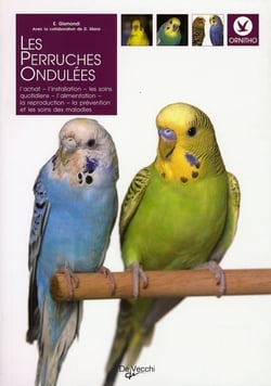 Les perruches ondulées
