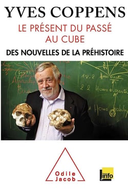 Le présent du passé au cube - l'information préhistorique