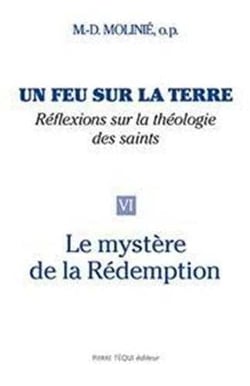 Un feu sur la terre - Tome 6 : Le Mystère de la Rédemption