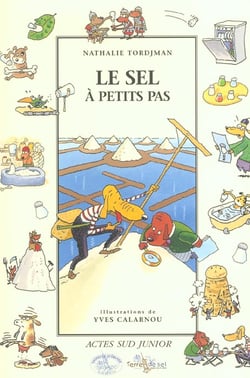 Le sel a petits pas