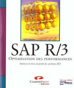 Sap r-3 - optimisation des performances