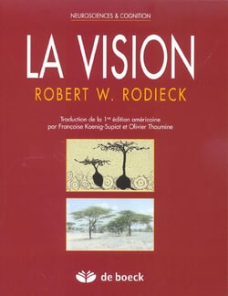 La vision