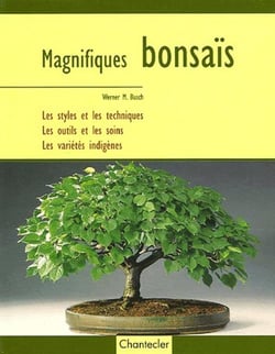 Magnifiques bonsais