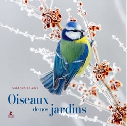 Oiseaux de nos jardins : calendrier (édition 2024)