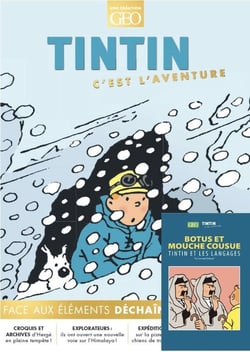 Tintin, c'est l'aventure n.22 : Face aux éléments