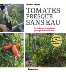 Tomates presque sans eau : Conseils, astuces et variétés pour plus de sobriété