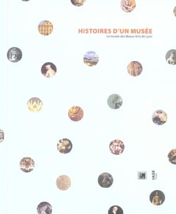 Histoires d'un musee : le musee des beaux arts de lyon