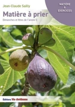 Matière à prier : dimanches et fêtes de l'année c