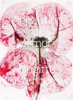Brigitte Lustenberger : an apparition of memory
