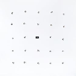 Split Series #24