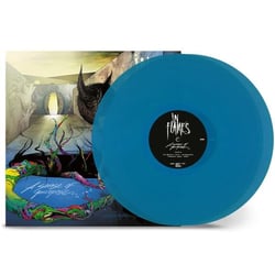 A Sense of Purpose + The Mirror's Truth