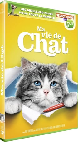 Ma vie de chat