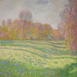 Sun Outside My Window - édition colorée