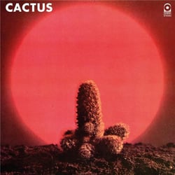 Cactus - édition;colorée;180 gr