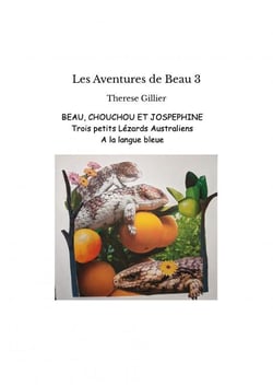 Les Aventures de Beau 3