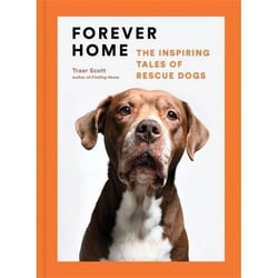 Forever home the inspiring tales of rescue dogs