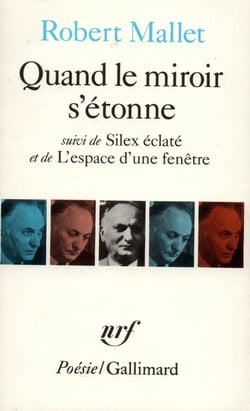 Quand le miroir s'étonne - silex éclaté - l'espace d'une fenêtre