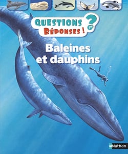 Questions réponses 7+ : baleines et dauphins