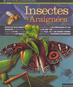 Insectes et araignees