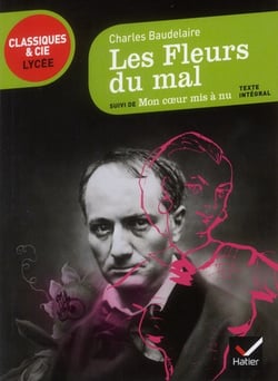 Les fleurs du mal - mon coeur mis à nu