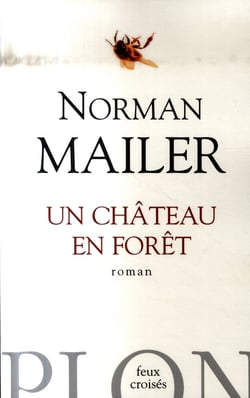 Un château en forêt