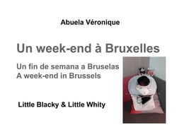 Un week end à bruxelles