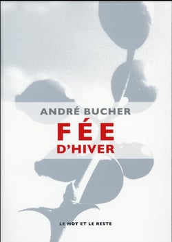 Fée d'hiver