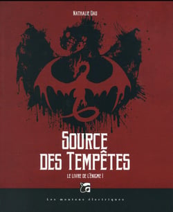 Livre de l'enigme t.1 - source des tempêtes