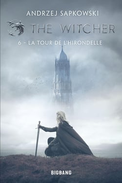 The Witcher (le sorceleur) Tome 6 : la tour de l'hirondelle