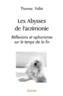 Les Abysses de l'acrimonie : Réflexions et aphorismes sur le temps de la fin