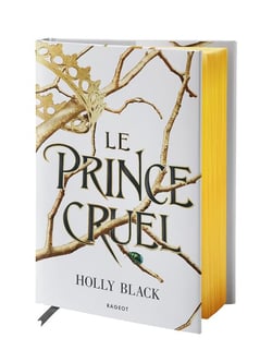 Le peuple de l'air Tome 1 : le prince cruel