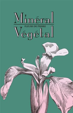Minéral-végétal : fleurs de pierre
