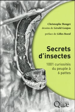 Secrets d'insectes - 1001 curiosités du peuple à 6 pattes