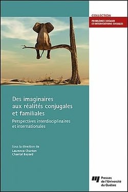 Des imaginaires aux réalités conjugales et familiales : perspectives interdisciplinaires et internationales