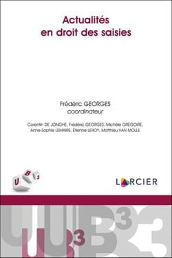 Actualités en droit des saisies