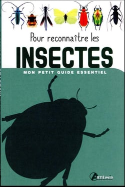 Mon petit guide essentiel : pour reconnaître les insectes