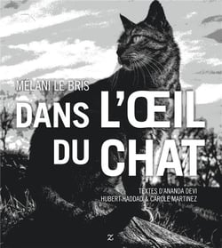 Dans l'oeil du chat