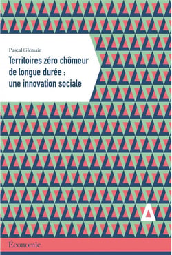 Territoires zéro chômeur longue durée : une innovation
