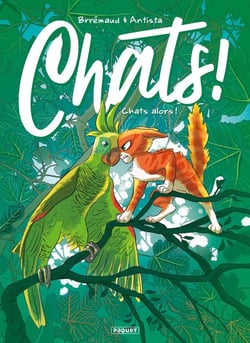 Chats ! Tome 6