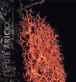 Lydie Arickx : arborescences