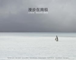 Antarctica - journey to the Peninsula