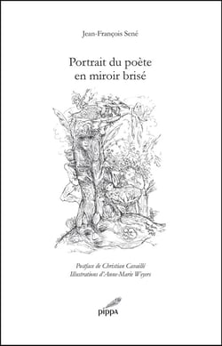 Portrait du poète en miroir brisé